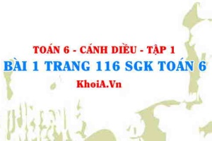 Bài 1 trang 116 SGK Toán 6 tập 1 Cánh Diều